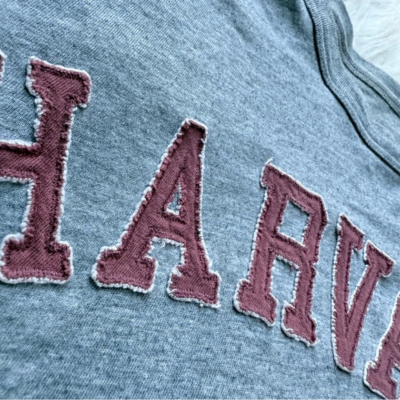 Vintage Y2K Style Harvard Heather Gray T-Shirt Slubby Slouchy Patches Collegiate - Picture 5 of 10